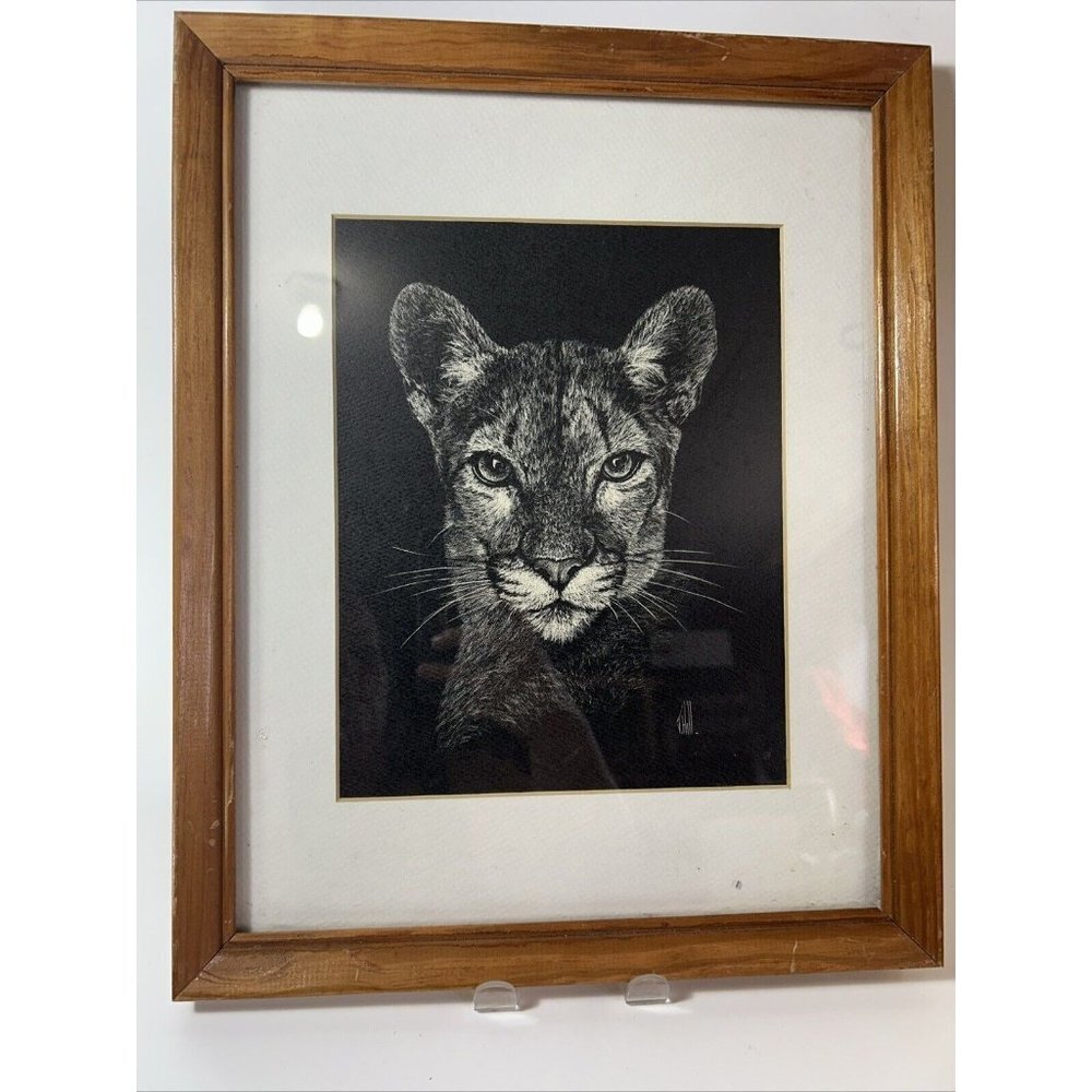 Jane Hill Framed Art 1997, Matted And Framed Print Cougar Mountain Lion